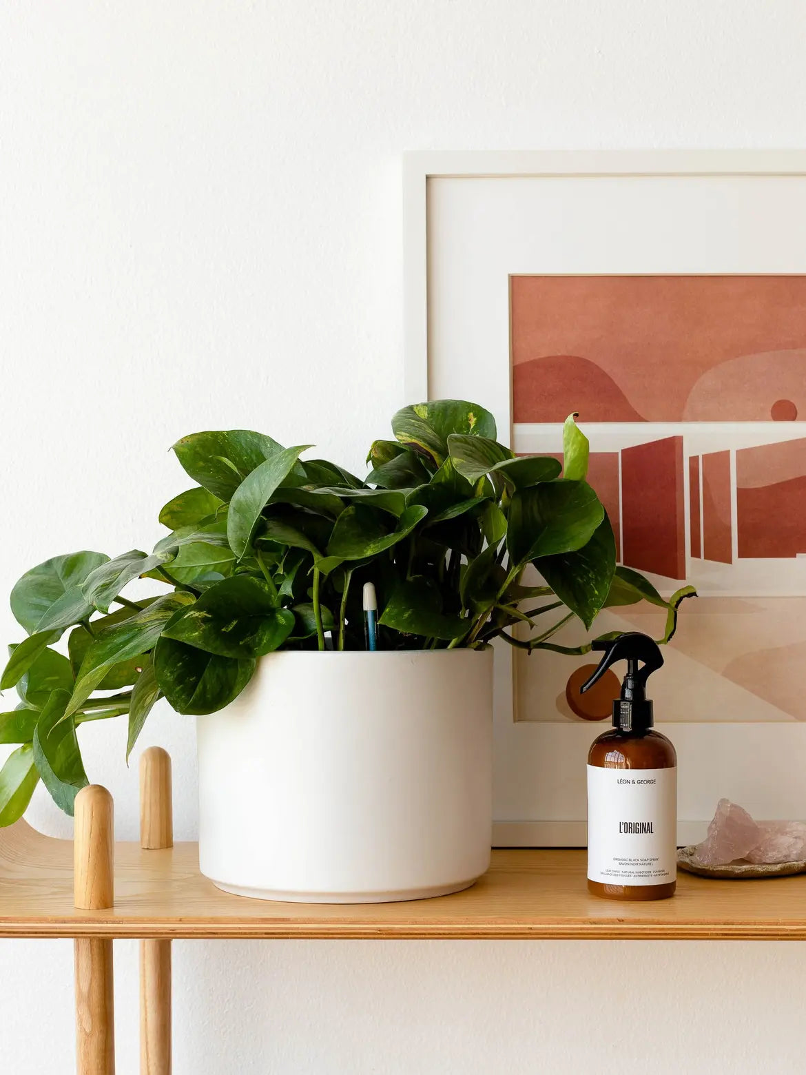 Black Soap & Premium Shining Mitt For Dust-free Foliage