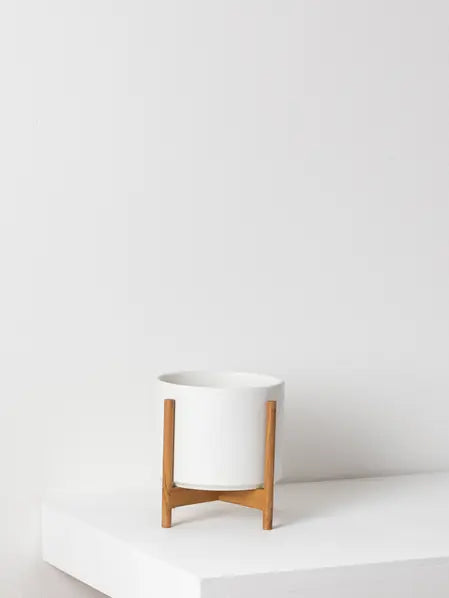 Mid-Century Cylinder - The Six