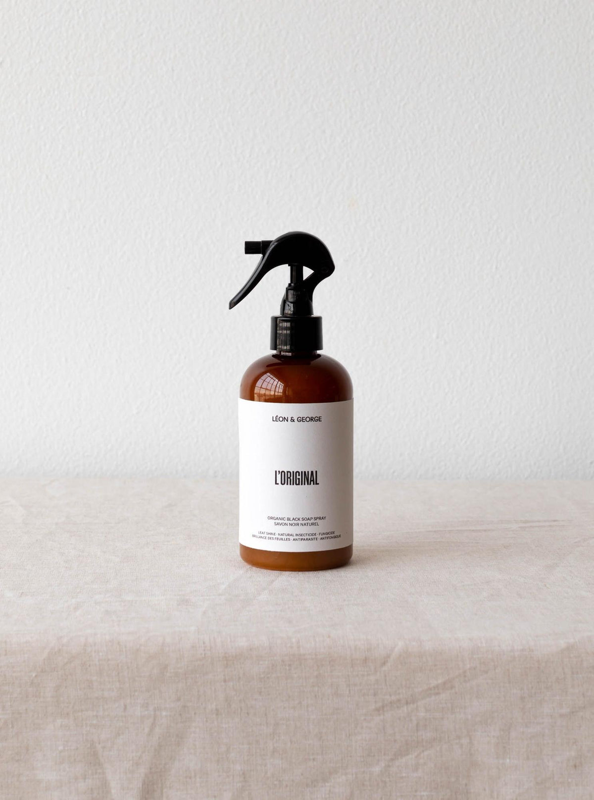 Preventive Plant Care Essentials