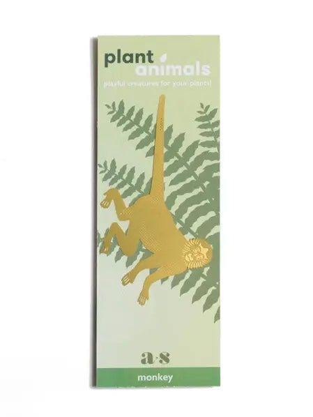 Plant Animal - Spider Monkey