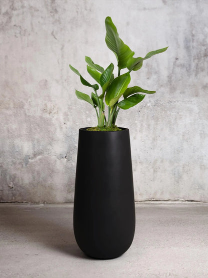 Bird of Paradise 4 ½ - 5 ½ ft tall Large Flute