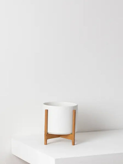 Mid-Century Cylinder - The Six