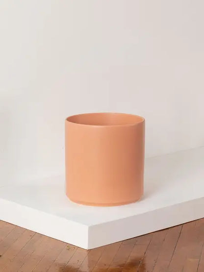 Mid-Century Cylinder - The Fourteen