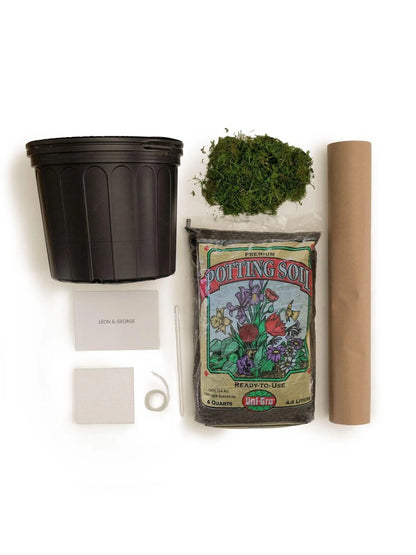 Deluxe Repotting Kit