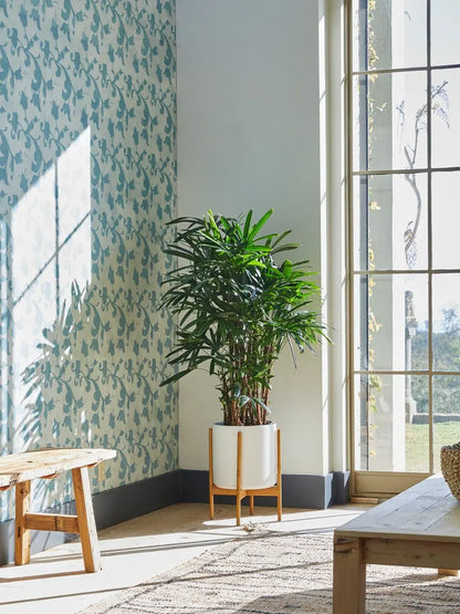 Lady Palm 4 - 4 ½ ft tall Extra Large Mid-Century