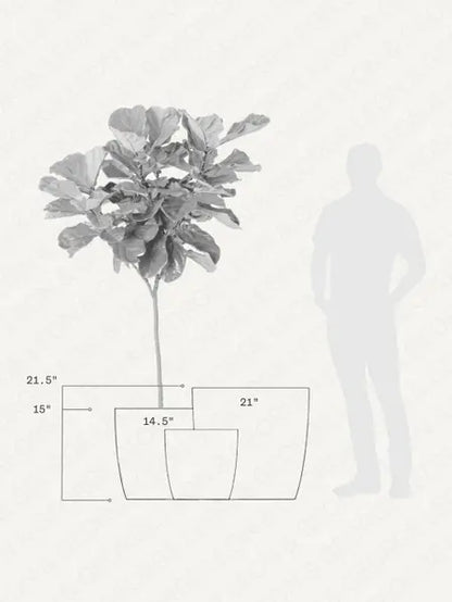 Mediterra - Twenty