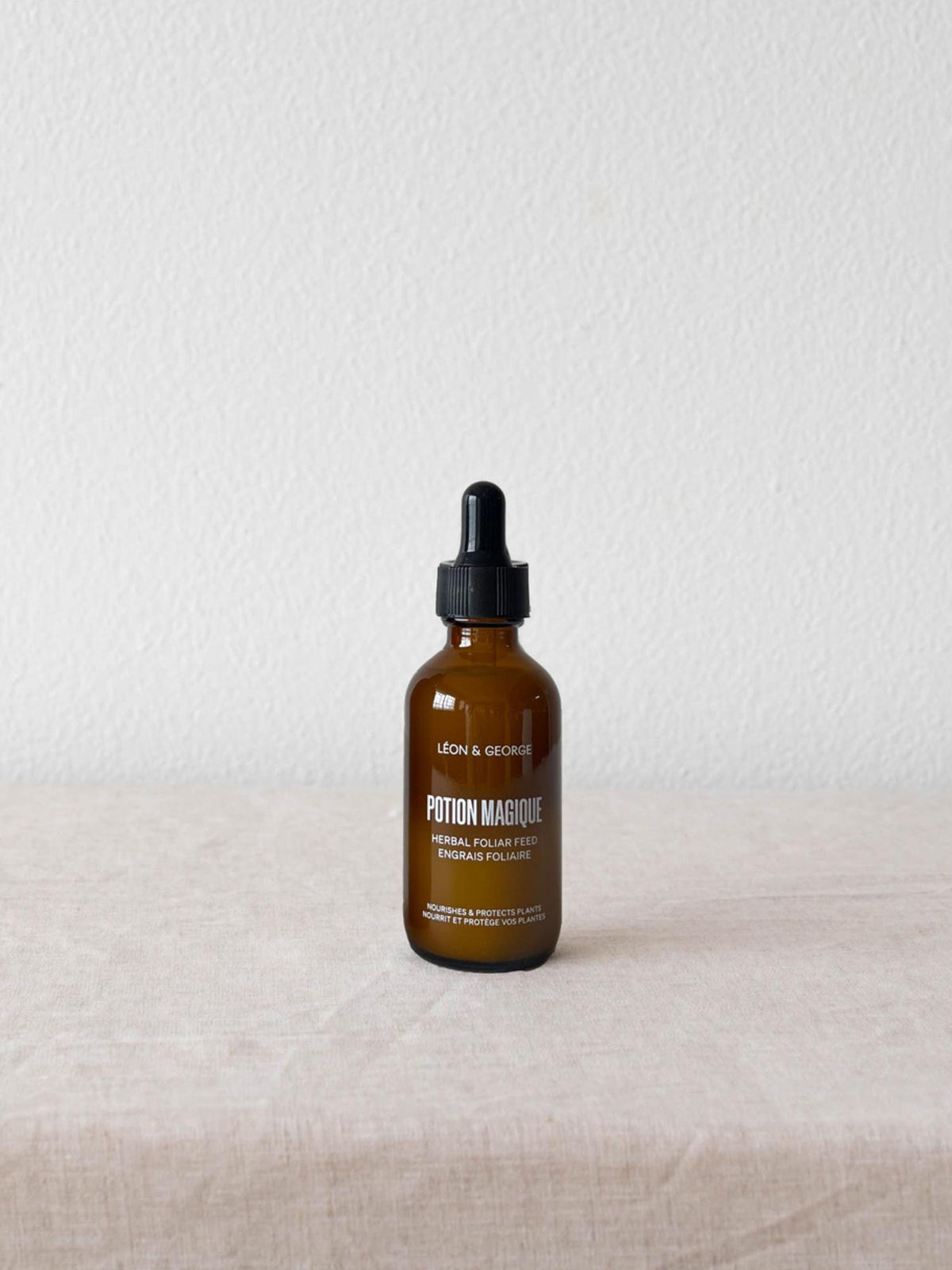 Preventive Plant Care Essentials