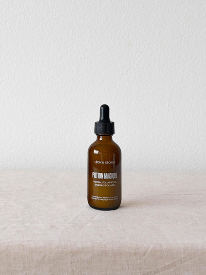 Preventive Plant Care Essentials