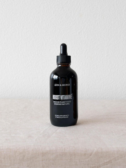 Preventive Plant Care Essentials