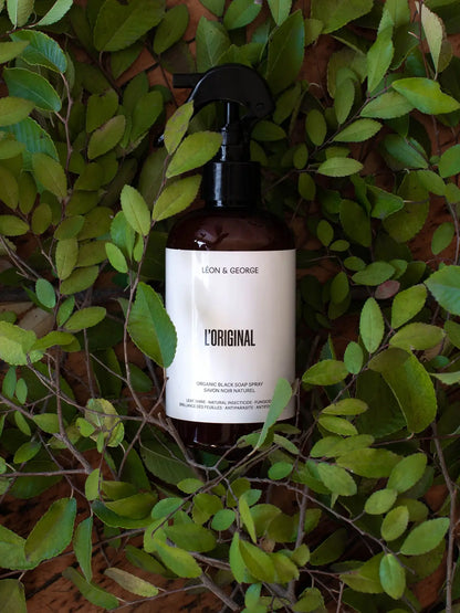 Organic Black Soap Spray