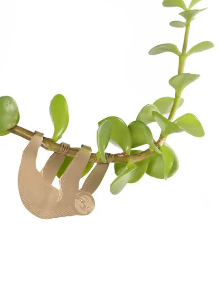Plant Animal - Sloth
