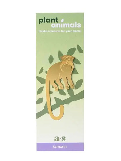 Plant Animal - Tamarin