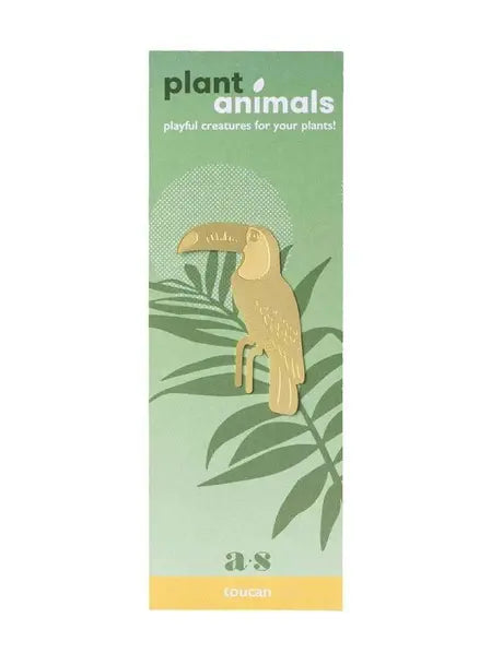 Plant Animal - Toucan