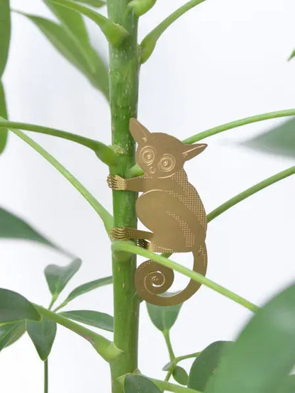 Plant Animal Trio