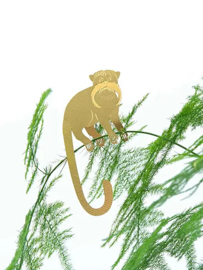 Plant Animal Trio