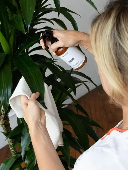 Plant Care Essentials Duo